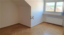 photo_4