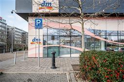 photo_2