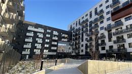 photo_4