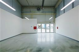 photo_1