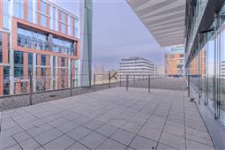 photo_4