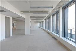 photo_4