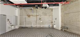 photo_5