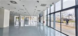 photo_1