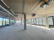 photo_1