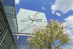 photo_6