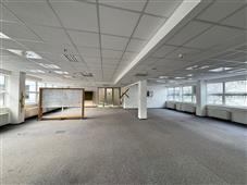 photo_12