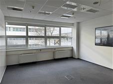 photo_6