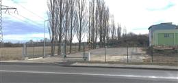 photo_1