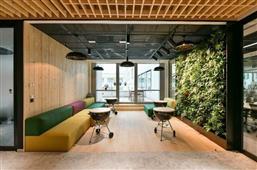 photo_6