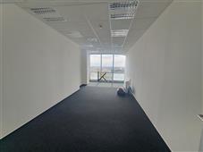 photo_1