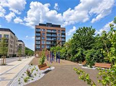 photo_8