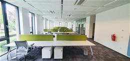 photo_1