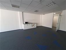 photo_4