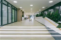 photo_8