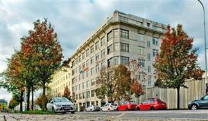 photo_1