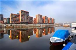 photo_1
