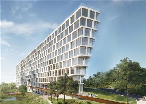 Obrázek projektuBRUMLOVKA SEQUOIA